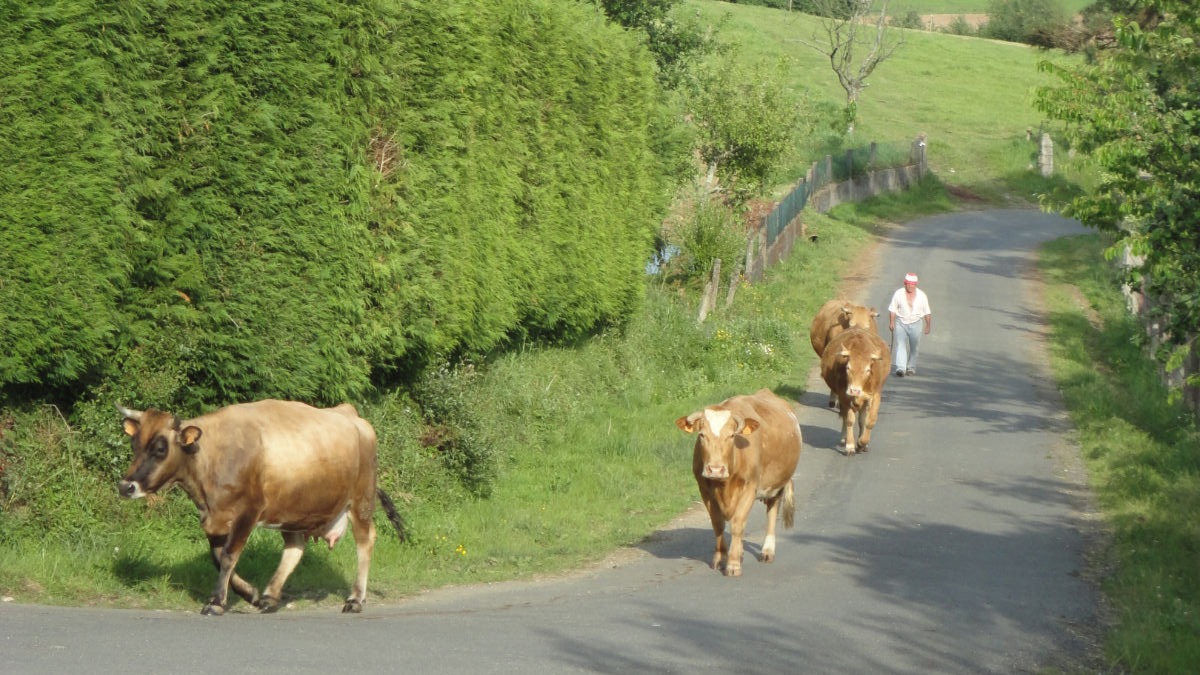 Generational renewal for Food Systems with a Future