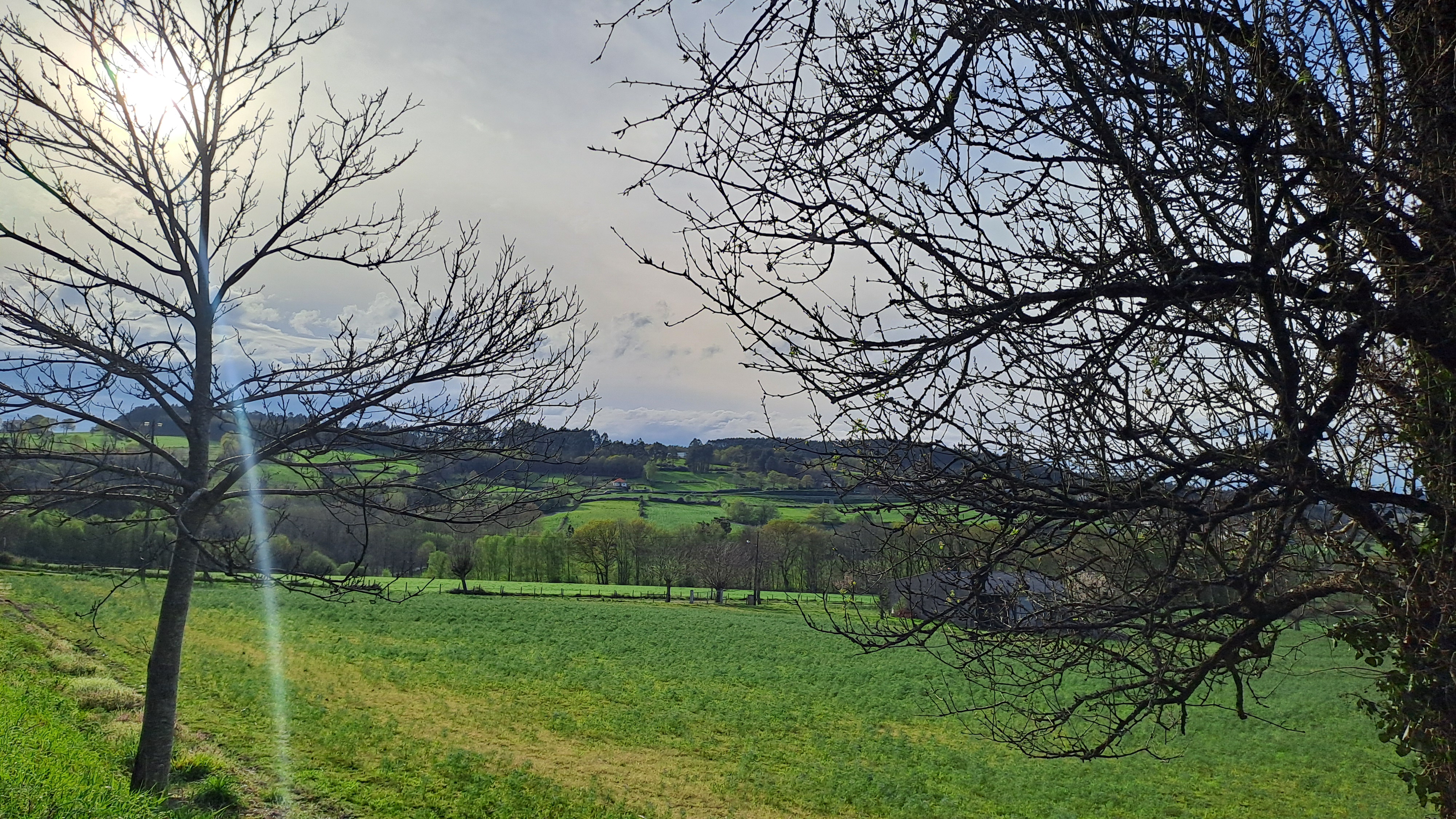 VII Edición Premios Rafael Crecente