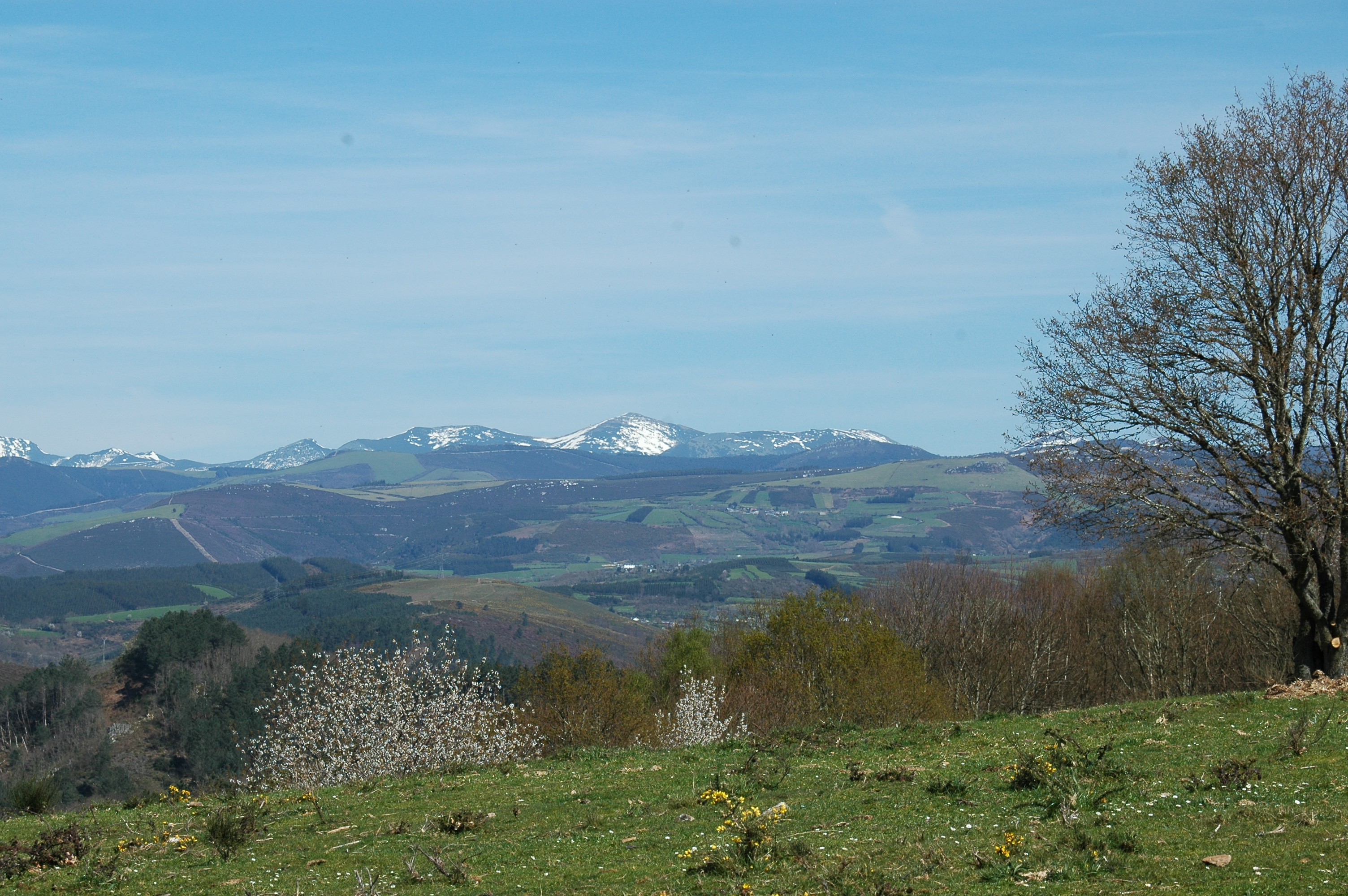 VII Edición Premios Rafael Crecente