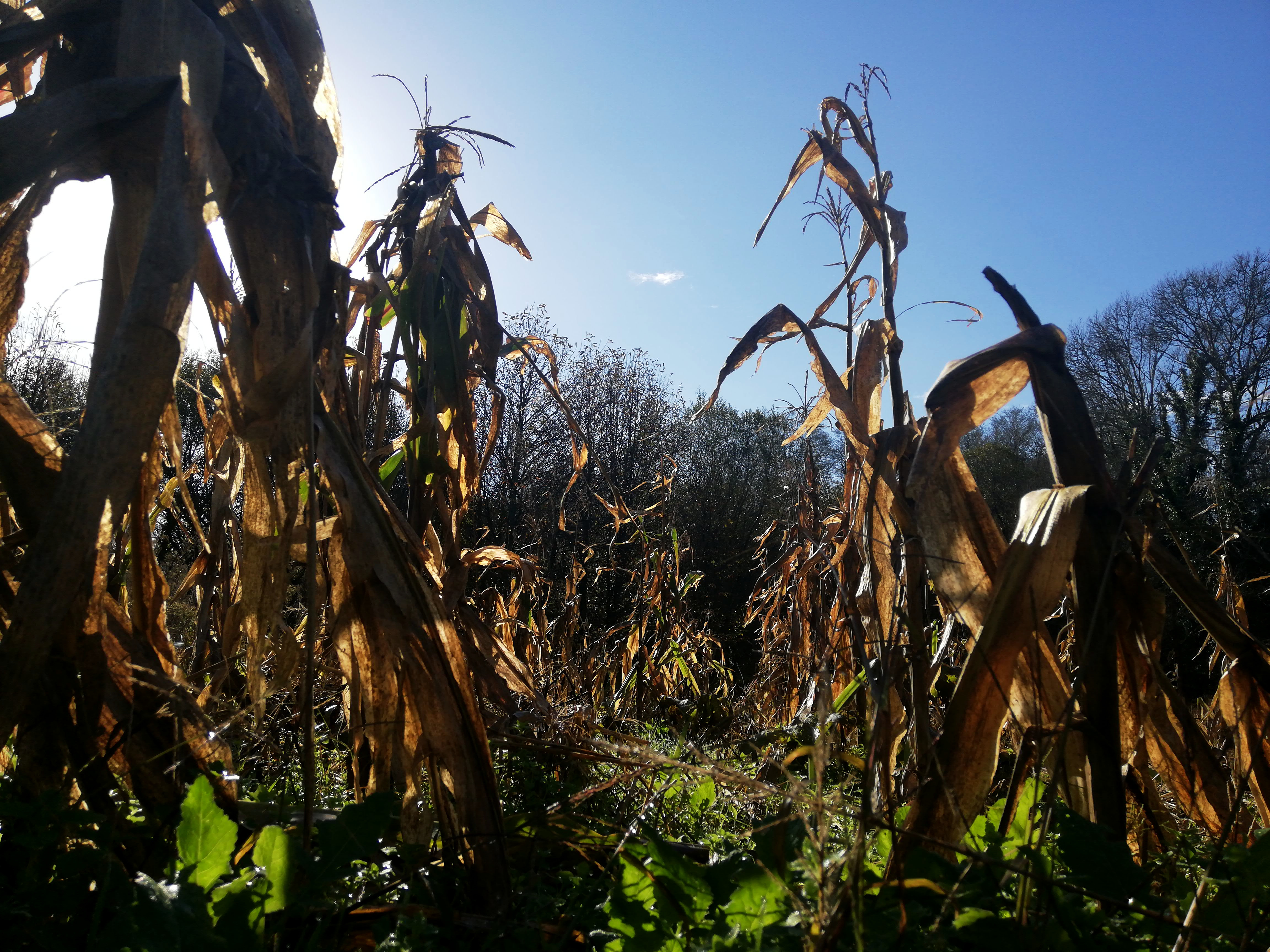 III Edición Premio Rafael Crecente