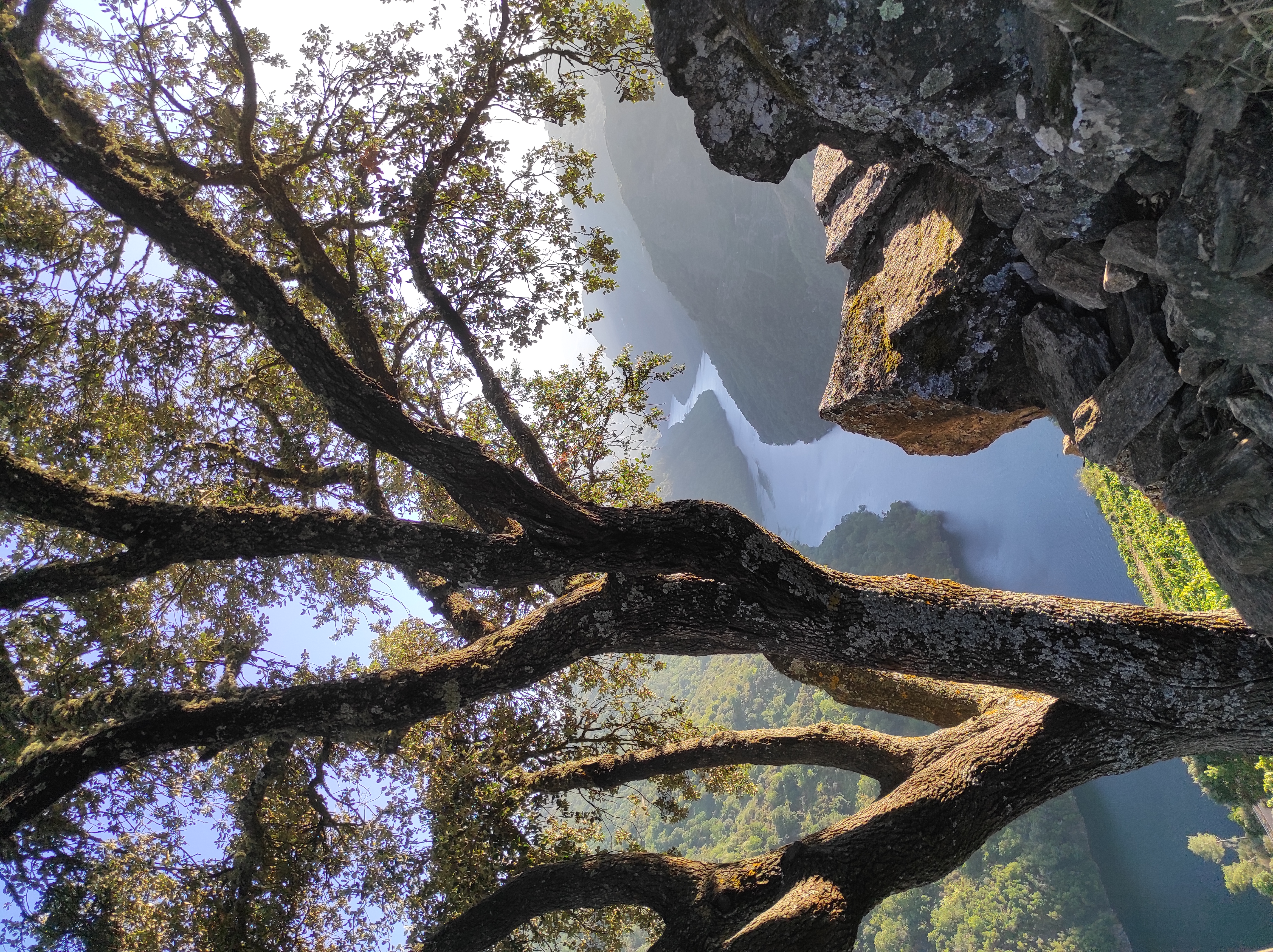 Corredores Ecolóxicos en Galicia