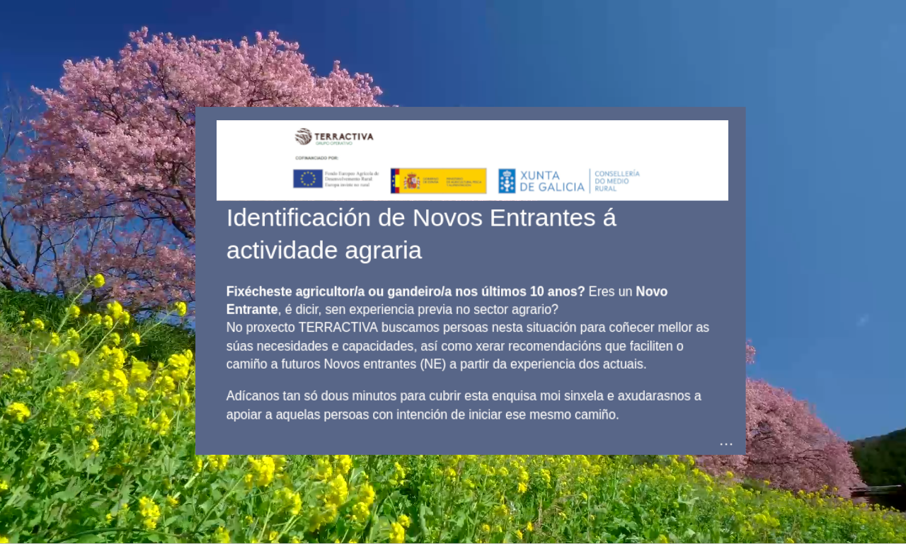 TERRACTIVA Novos Entrantes