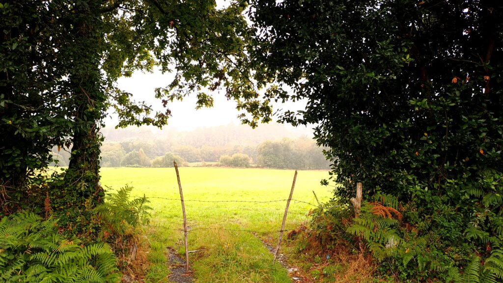 La VIII Edición de los Premios Rafael Crecente llega con novedades