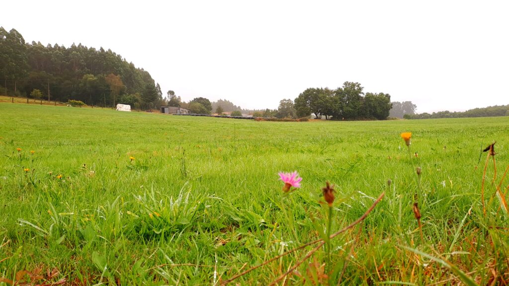 El catálogo de suelos agropecuarios y forestales: clave para proteger la productividad y la sostenibilidad en Galicia