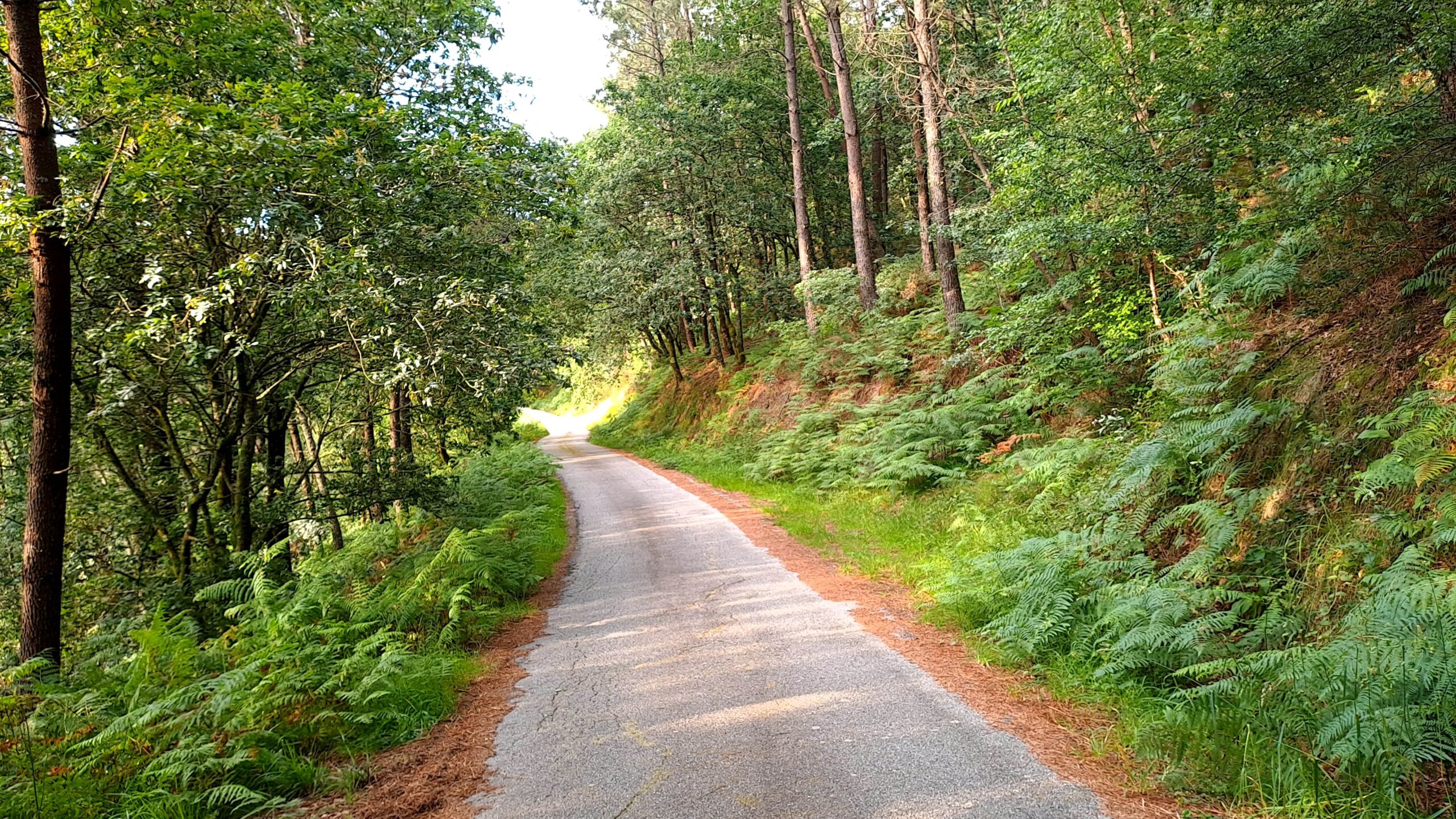 Revitalización rural