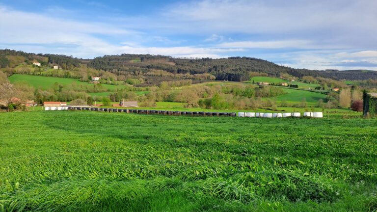 Abierto el plazo de inscripción del nuevo Máster Universitario en Ingeniería del Paisaje, Infraestructura Verde y Transición Rural